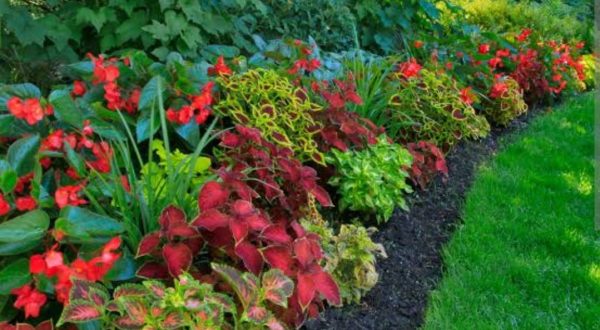 Landscaping Landscaping