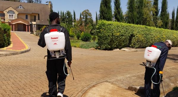 Mosquito Pest control Mosquito Pest control